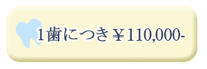 1歯につき ¥9万